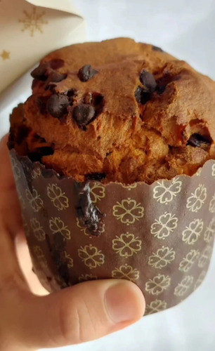 Pan Dulce S/ Tacc Con Chips Chocolate Kapac Fortific 250g Fw