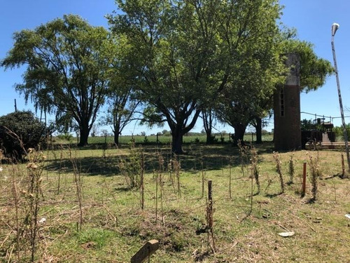 Imagen 6 de 7 de En Venta - 7 Ha / A La Vera De Rn7-km 347, Altura Acceso A Germania.