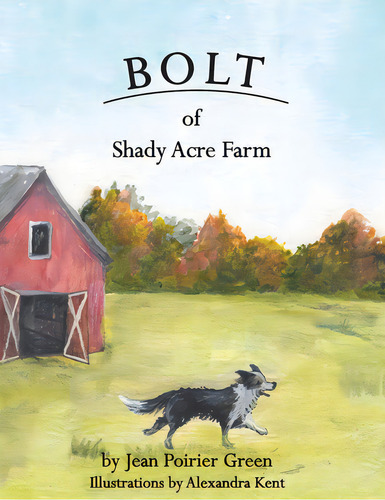 Bolt Of Shady Acres, De Green, Jean Poirier. Editorial Indy Pub, Tapa Dura En Inglés