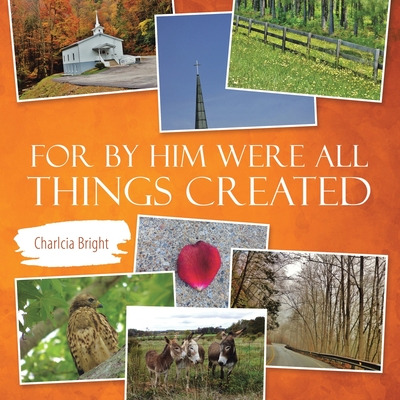 Libro For By Him Were All Things Created - Bright, Charlcia