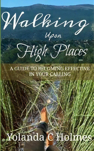 Walking Upon High Places : Understanding Your Spiritual Journey, De Yolanda C Holmes. Editorial Createspace Independent Publishing Platform, Tapa Blanda En Inglés