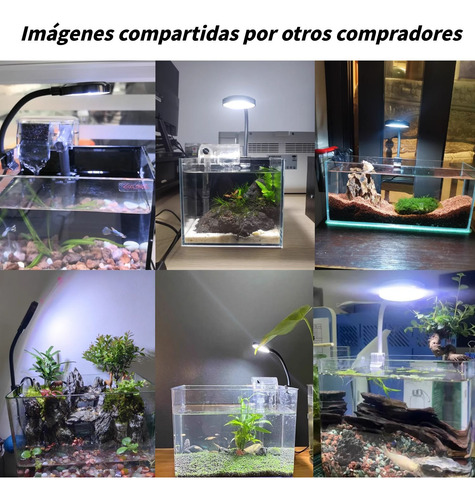 Lámpara 6w Usb Para Pecera Con Clip, 3 Modos De Luz