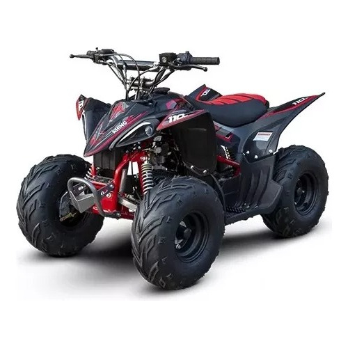 Quadriciclo Fun Motors Rhino 110 Cc