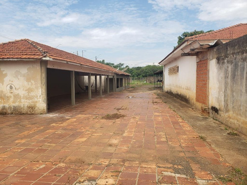 Imagem 7 de 15 de Terreno, 10000 M² - Venda Por R$ 4.000.000,00 Ou Aluguel Por R$ 8.500,00/mês - Jardim Flórida - Nova Odessa/sp - Te0295