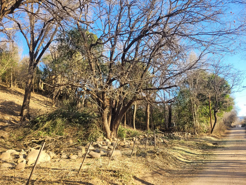 Terreno En Venta En Nono