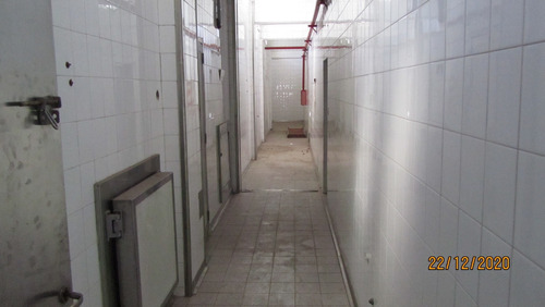 Imagen 9 de 14 de Frigorífico Ciclo 2 En Mataderos, Salida A 2 Calle 1450 M2.
