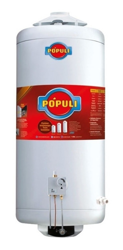 Termotanque Gas Natural Ecotermo Populi 70 Conexion Superior