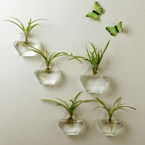 Maceta De Planta De Agua Hexágono 17cm