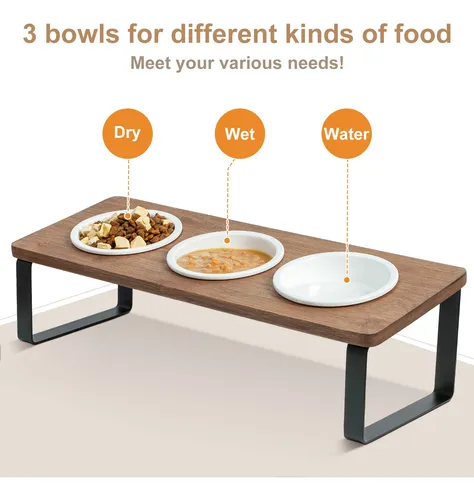 Sunhoo Cuenco Elevado Para Agua Y Comida Para Gatos, Juego .