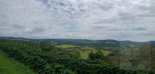 Fazenda À Venda, 65 Alqueires Por R$ 3.000.000 - Sítio Rural - São Sebastião Do Paraíso/mg - Fa0012