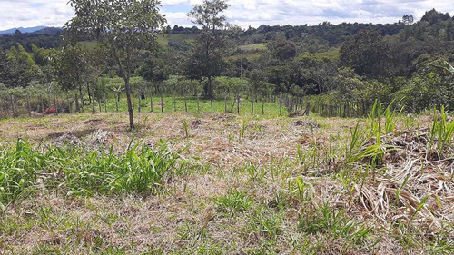 Imagen 12 de 15 de Venta Lote Esquinero -620 Mts2 - Julumito Popayan
