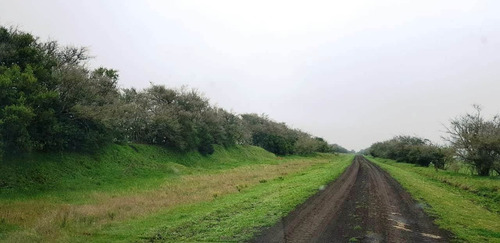 Imagen 5 de 21 de Campo En General Madariaga-