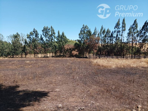 Imagen 2 de 17 de Terreno Agrícola En Venta En Victoria