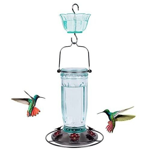 Bebedero Para Colibri Botella De Vidrio + Foso De Hormigas V