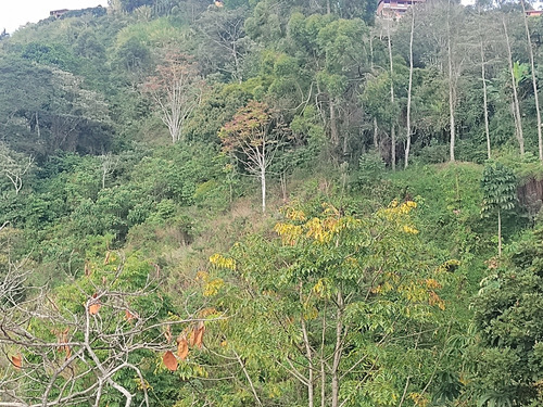 Venta De Lote En Santa Barbara Antioquia 