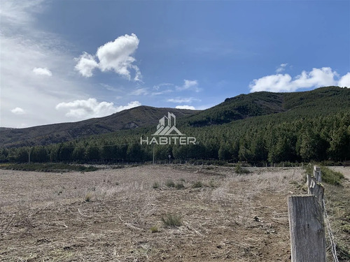 Cod36830 Agrícola En Venta En Liucura, Forestal 213 Ha