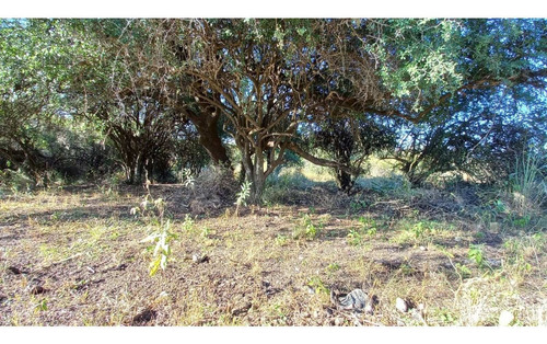 Imagen 2 de 14 de Oportunidad!! Permuto Tres Hectareas Zona Sierras Chicas Por Casa En Cordoba Cap