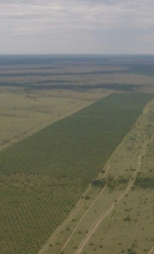 Vencambio Hacienda De Trabajo Agroindustrial De Palma De Aceite 