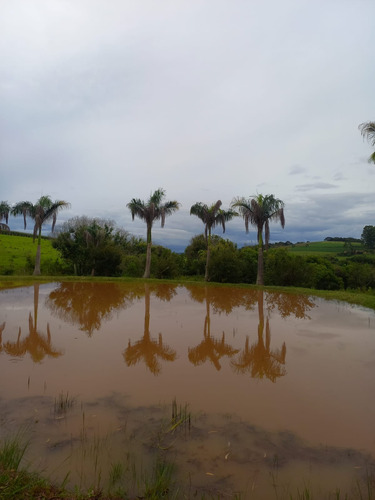 Imagem 24 de 30 de Chácara 28.340m2, Rica Em Água Com Açude, Árvores Frutíferas, Casa Sede Com 182m2, 2 Dormitórios, 1 Suíte, Curral, Pomar, Pasto, Poço Caipira - Ch00201 - 70578843