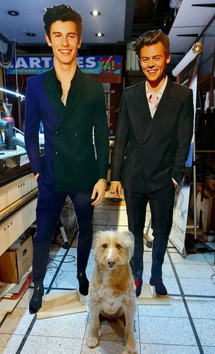 Silueta One Direction A Tamaño Real