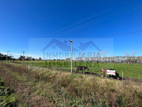 Parcela / Quinta / Chacra / Lote De 1 Ha. (10.000 M2) En Venta. Excelente Ubicación De General Belgrano. Zona De Calle 111 Y 178, Sociedad Rural.
