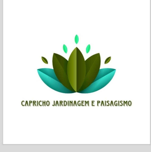 Imagem 1 de 5 de Jardinagem E Paisagismo