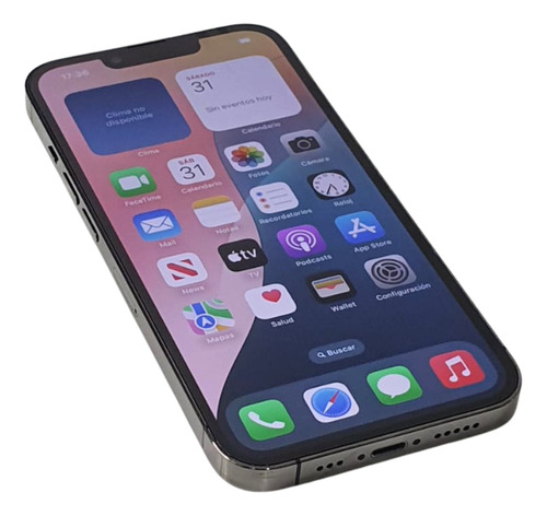 Apple iPhone 13 Pro (256 Gb) - Grafito (Usado)