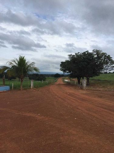 Fazenda De Gado Arinos Mg 2.250 Hectares 65.000,000,00 - 38491