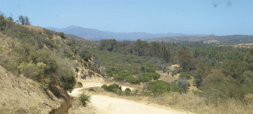 Terrenos Construccion En Venta En Limache Desde 45.000.000