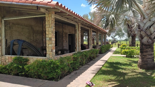 Imagen 2 de 8 de Venta De Espectacular Finca Productiva En Guárico - Inmobiliaria Maggi 1246