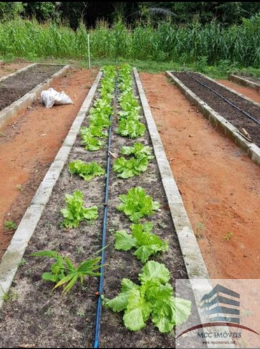 Imagem 3 de 12 de Granja A Venda Em Boa Esperança, Parnamirim
