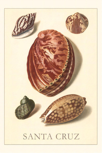 Vintage Journal Santa Cruz Shells, De Found Image Press. Editorial Found Image Pr, Tapa Blanda En Inglés