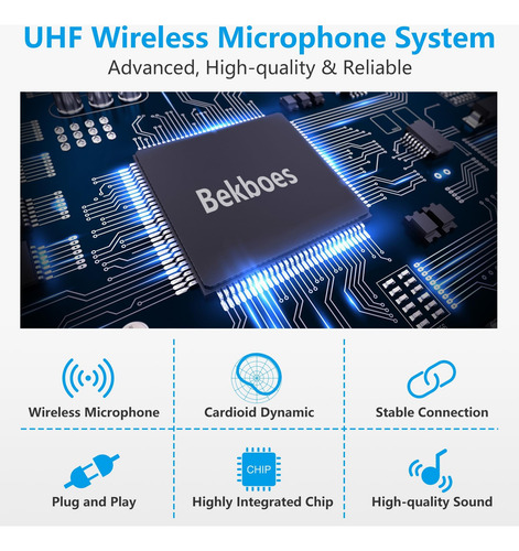 Sistema De Micrófono Inalámbrico De La Mano Dual Dual De Bek