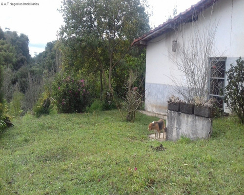 Imagem 1 de 18 de Sitio À Venda No Monjolada - Guiapiara/sp - St00246 - 68125721