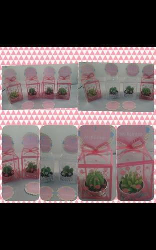Recuerdos Souvenirs Velas Cactus X 12