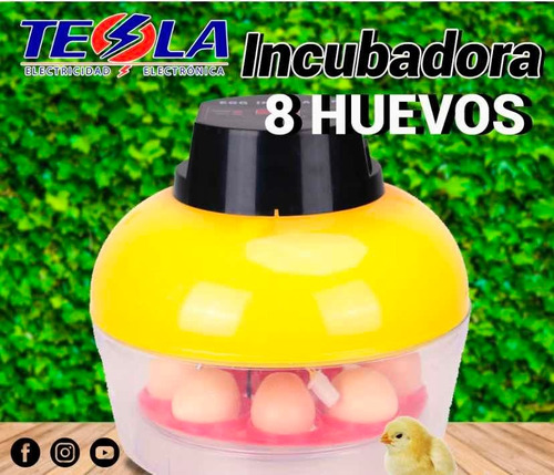 Incubadora 8 Huevos, Eficiente - Duradero  Repuestos A 81.60