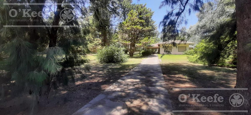 Imagen 9 de 20 de Quinta En Venta En Abasto 4180 Mts. Con Muy Buena Forestación