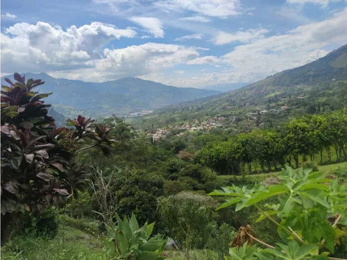 Lote En Girardota Vereda El Limonar