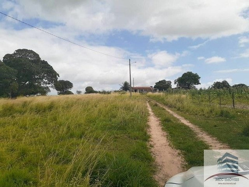 Imagem 3 de 4 de Granja A Venda Lagoa Salgada