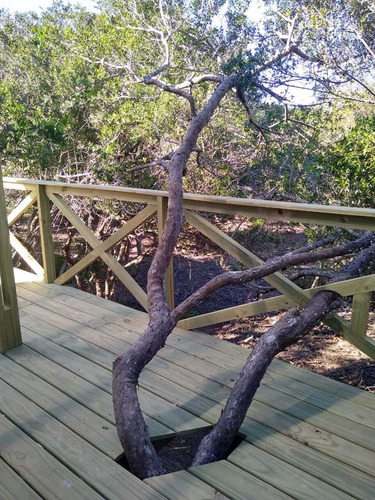Turístico Cabaña En Alq. Temporario En San Antonio, Rocha, Uruguay