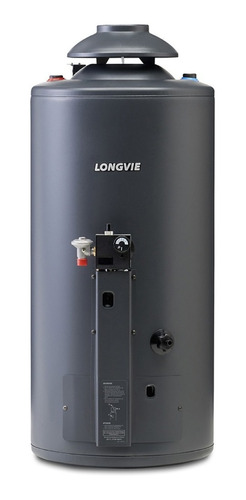 Cu - Termotanque Longvie Potenciado 56 Litros Tp860ar-n