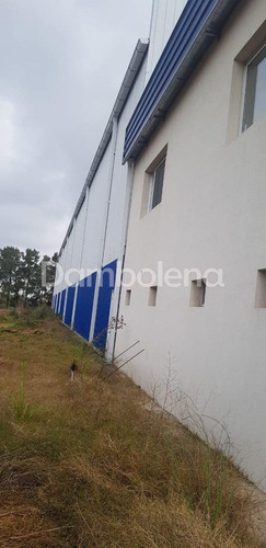 Imagen 7 de 30 de Depósito Galpón En Venta O Permuta Ubicado En General Rodríguez, General Rodríguez
