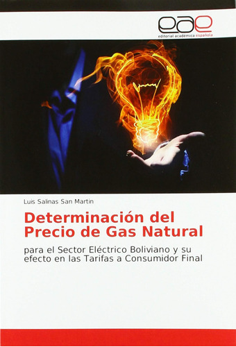 Libro: Determinación Del Precio De Gas Natural: Para El Sect
