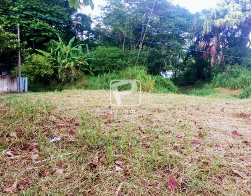 Imagem 8 de 9 de Terreno A Venda Em Balneário Camboriú - 5876