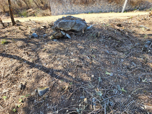 Venta Lote Iris I Muy Plano Y De Bonita Vista Además De Doble Frente En Doble Calle Con Proyecto Incluído En Fracc Rancho San Diego Ixtapan De La Sal Edomex