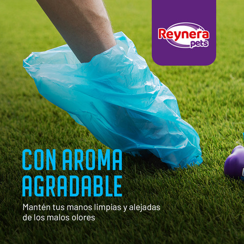 Dispensador Bolsas Desechables Perros Y 4 Repuestos Reynera Color Morado