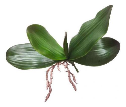 Ta 2 Hojas Artificiales De Orquídea Verde
