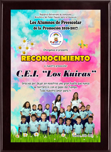 Imagen 8 de 10 de Placas De Reconocimiento En Sublimación