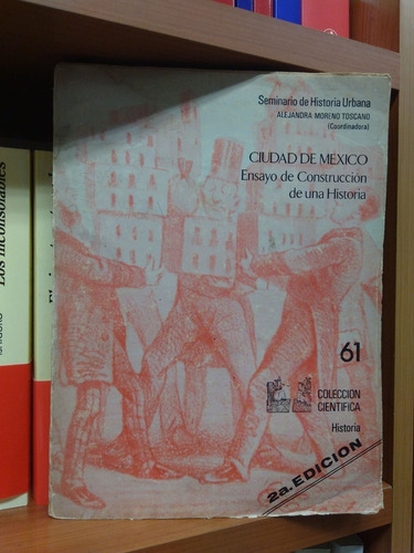 Ciudad De Mexico, Ensayos De Construccion De Una Historia