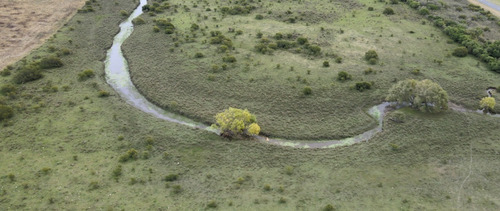 Imagen 4 de 10 de Exclusiva Casa De Campo De 28 Hectáreas, Sobre Asfalto. Gualeguaychú
